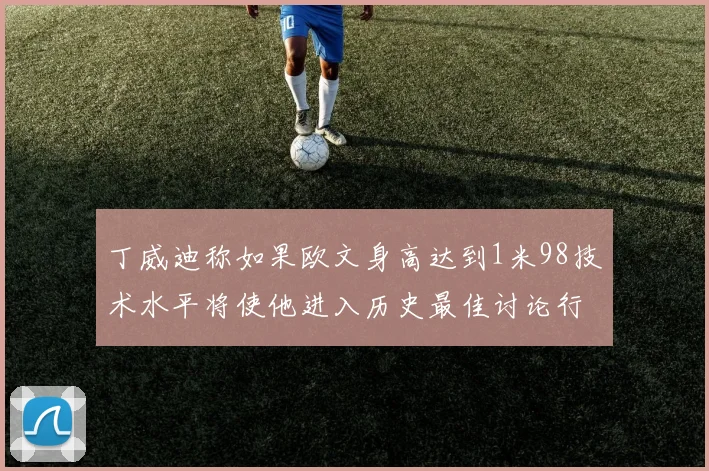 丁威迪称如果欧文身高达到1米98技术水平将使他进入历史最佳讨论行列