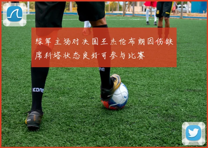 绿军主场对决国王杰伦布朗因伤缺席科塔状态良好可参与比赛