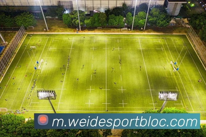 伟德体育APP 高清赛事图